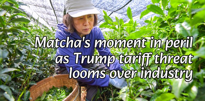 Matcha's moment in peril as Trump tariff threat looms over industry